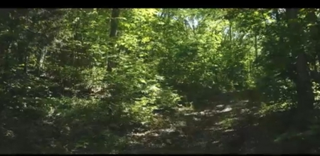Tennessee & Virginia Hunting Paradise for Sale At Auction - image 7