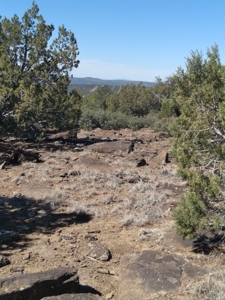 Awesome Views Over 37 Acres Recreational Land - image 14