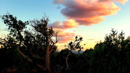 Awesome Views Over 37 Acres Recreational Land - image 12