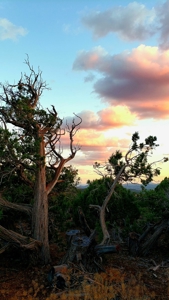 Awesome Views Over 37 Acres Recreational Land - image 10