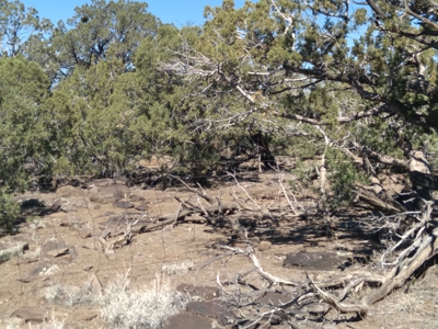 Awesome Views Over 37 Acres Recreational Land - image 25