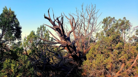 Awesome Views Over 37 Acres Recreational Land - image 2