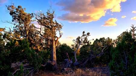 Awesome Views Over 37 Acres Recreational Land - image 8