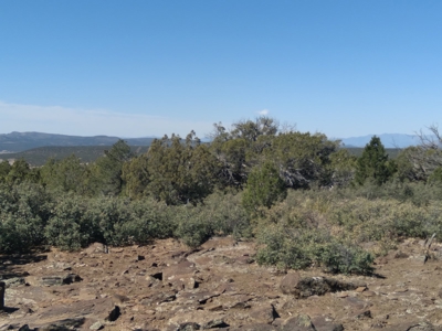 Awesome Views Over 37 Acres Recreational Land - image 15