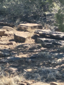 Awesome Views Over 37 Acres Recreational Land - image 18