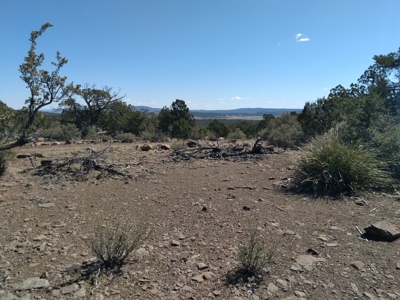 Awesome Views Over 37 Acres Recreational Land - image 28
