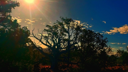 Awesome Views Over 37 Acres Recreational Land - image 6