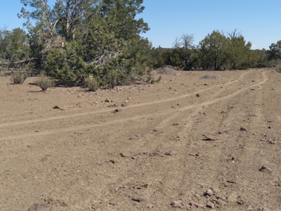 Awesome Views Over 37 Acres Recreational Land - image 26