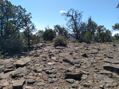 Awesome Views Over 37 Acres Recreational Land - image 29