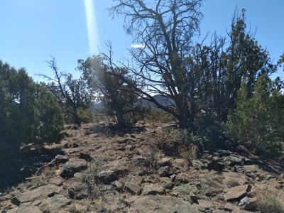 Awesome Views Over 37 Acres Recreational Land - image 31