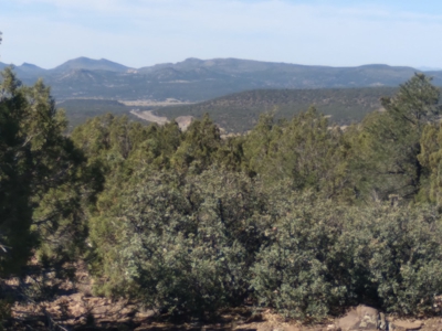 Awesome Views Over 37 Acres Recreational Land - image 17