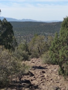 Awesome Views Over 37 Acres Recreational Land - image 20