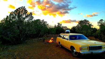 Awesome Views Over 37 Acres Recreational Land - image 11