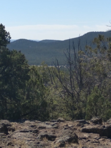 Awesome Views Over 37 Acres Recreational Land - image 22