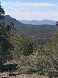 Awesome Views Over 37 Acres Recreational Land - image 21