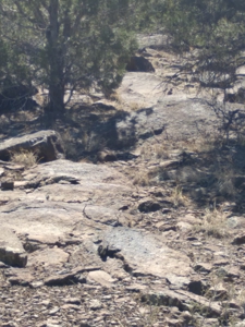 Awesome Views Over 37 Acres Recreational Land - image 19