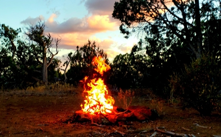 Awesome Views Over 37 Acres Recreational Land - image 9