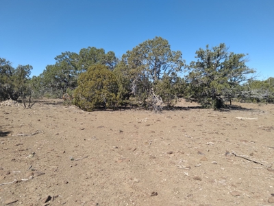 Awesome Views Over 37 Acres Recreational Land - image 32