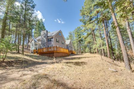 Luxury Mountain Home For Sale - image 42