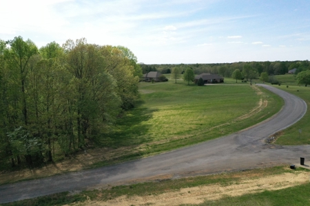 Land For Sale In Upscale Resort In Tennessee Loretto Tn - image 8