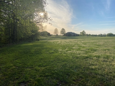 Land For Sale In Upscale Resort In Tennessee Loretto Tn - image 6