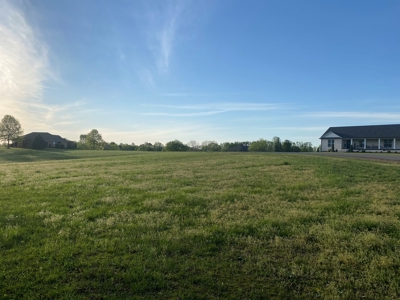 Land For Sale In Upscale Resort In Tennessee Loretto Tn - image 7