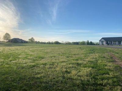 Land For Sale In Upscale Resort In Tennessee Loretto Tn - image 5