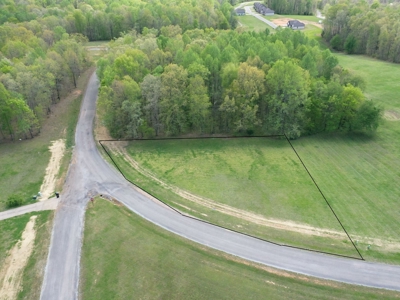 Land For Sale In Upscale Resort In Tennessee Loretto Tn - image 14