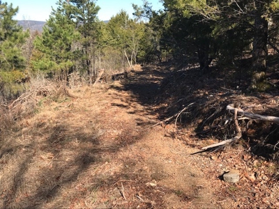 Land for Sale Sardis Lake Clayton,OK-Mountain & Water Views - image 3