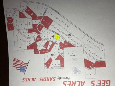 Land for Sale Sardis Lake Clayton,OK-Mountain & Water Views - image 4