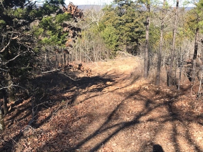 Land for Sale Sardis Lake Clayton,OK-Mountain & Water Views - image 2