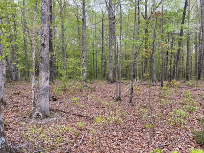 Land For Sale In Upscale Resort In Tennessee Loretto Tn - image 5