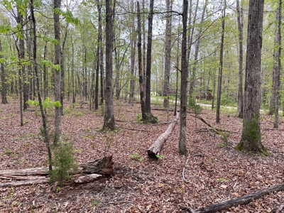 Land For Sale In Upscale Resort In Tennessee Loretto Tn - image 9