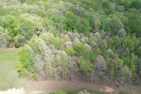 Land For Sale In Upscale Resort In Tennessee Loretto Tn - image 11