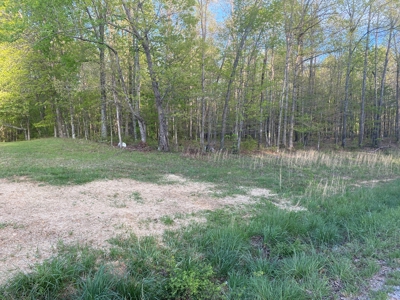 Land For Sale In Upscale Resort In Tennessee Loretto Tn - image 3