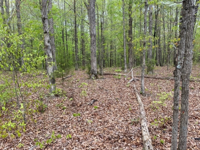 Land For Sale In Upscale Resort In Tennessee Loretto Tn - image 7