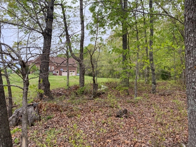 Land For Sale In Upscale Resort In Tennessee Loretto Tn - image 6