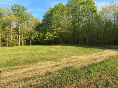 Land For Sale In Upscale Resort In Tennessee Loretto Tn - image 4
