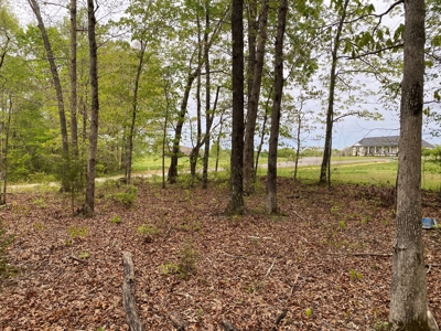 Land For Sale In Upscale Resort In Tennessee Loretto Tn - image 8
