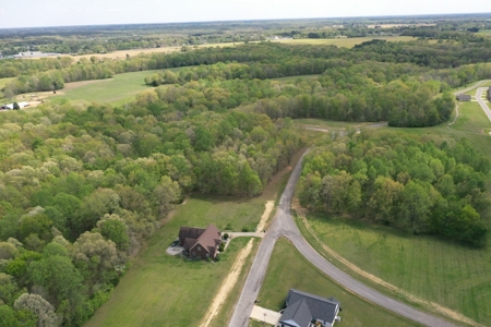 Land For Sale In Upscale Resort In Tennessee Loretto Tn - image 10
