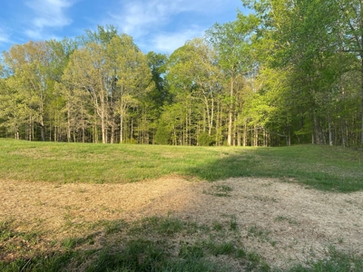 Land For Sale In Upscale Resort In Tennessee Loretto Tn - image 2
