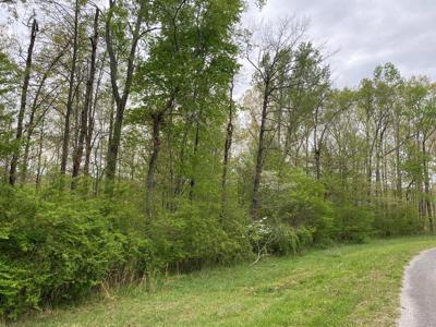 Land For Sale In Upscale Resort In Tennessee Loretto Tn - image 13