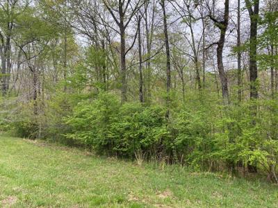 Land For Sale In Upscale Resort In Tennessee Loretto Tn - image 4