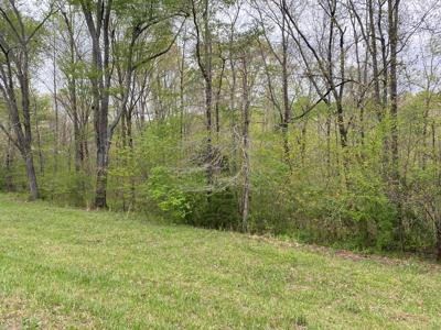 Land For Sale In Upscale Resort In Tennessee Loretto Tn - image 14