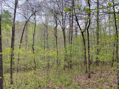 Land For Sale In Upscale Resort In Tennessee Loretto Tn - image 7