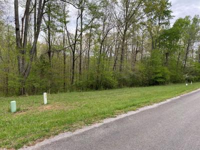 Land For Sale In Upscale Resort In Tennessee Loretto Tn - image 3