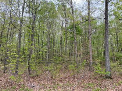 Land For Sale In Upscale Resort In Tennessee Loretto Tn - image 2