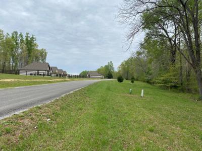 Land For Sale In Upscale Resort In Tennessee Loretto Tn - image 12