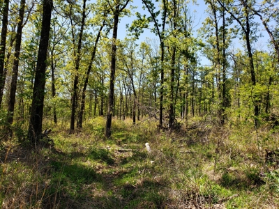 Poteau Mountain Recreational Property - National Forest - image 24