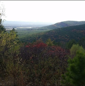 Poteau Mountain Recreational Property - National Forest - image 30
